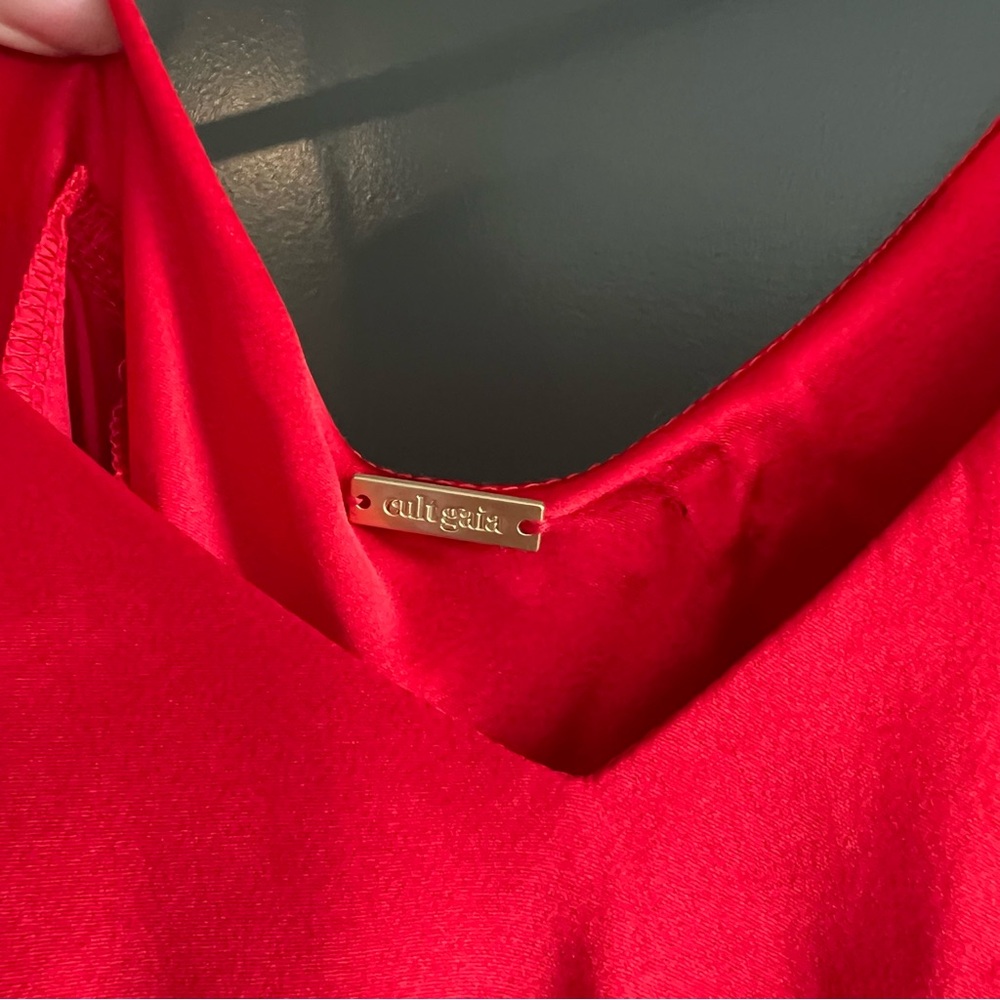 Cult Gaia Crissy gown maxi dress in red Size medium - Picture 6 of 11
